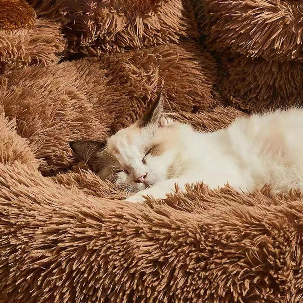 Plush Pet Sofa Bed β Cozy Comfort for Dogs & Cats